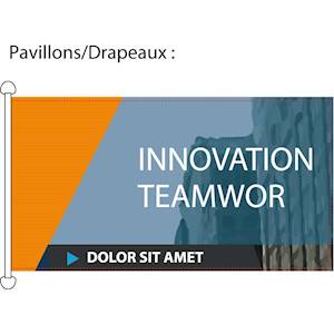 Sublimation sur maille drapeau et confection pavillon (renfort avec 2 anneaux PVC côtés gauche sur la hauteur de 100cm et couture sur les 3 autres côtés).